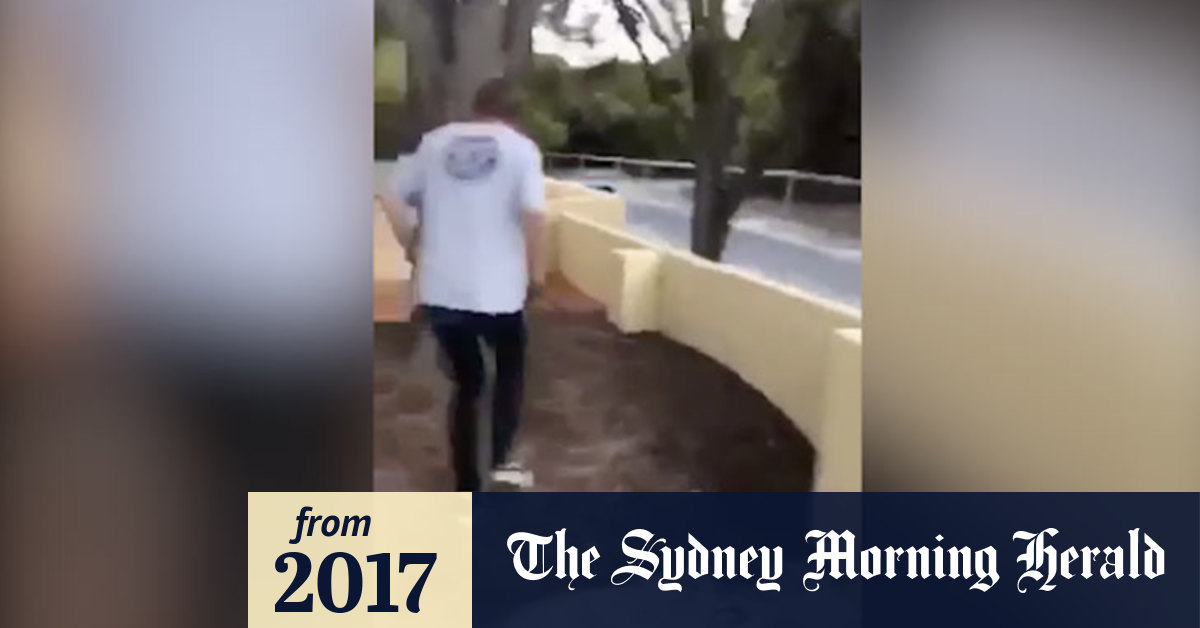 Video Man caught kicking a quokka